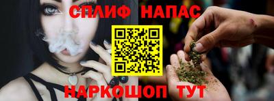 амф Камышлов