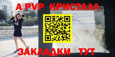 амф Камышлов