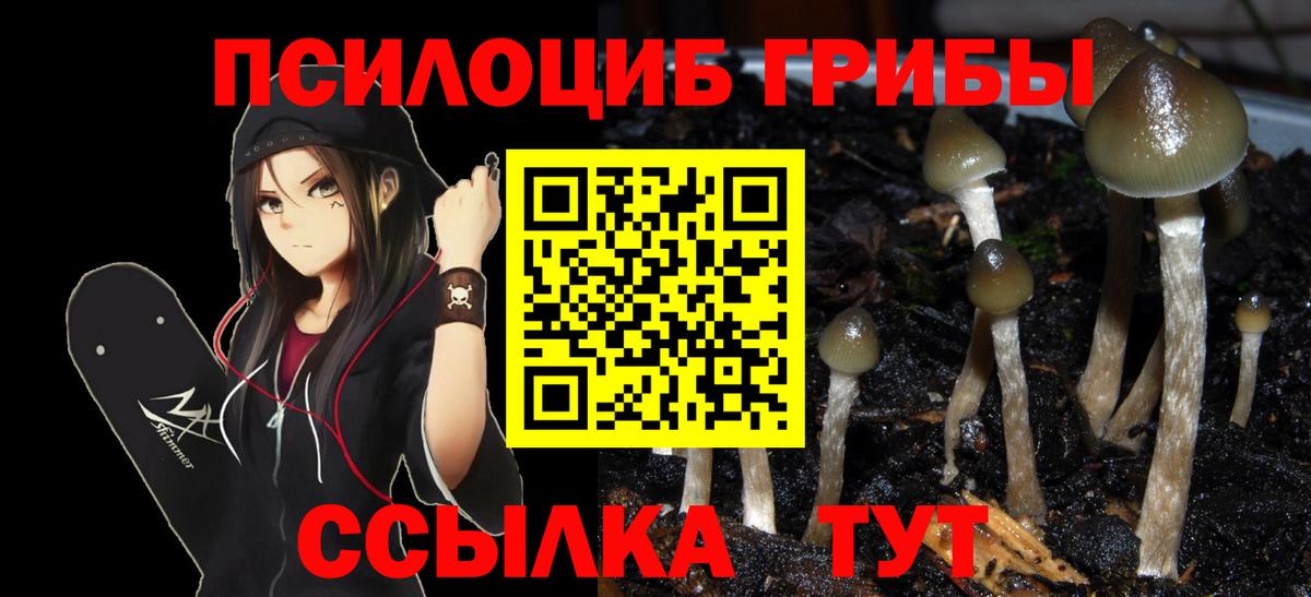 Дубна  Галлюциногенные грибы прущие грибы  Вход с VPN  Галлюциногенные грибы Cubensis 